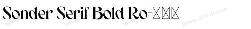 Sonder Serif Bold Ro字体转换